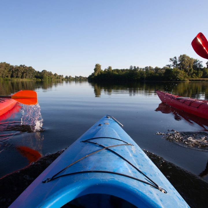 Projekt bez nazwy(1)